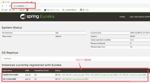 Eureka 服務注冊中心與互聯網域名注冊服務的區別與聯系